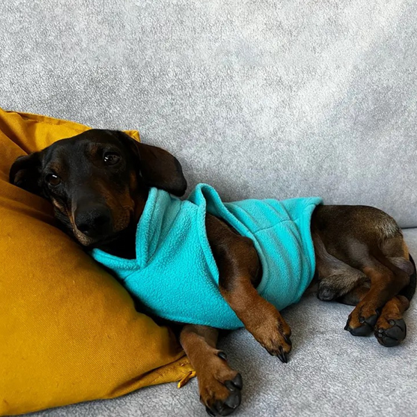 Dog Fleece Sweater