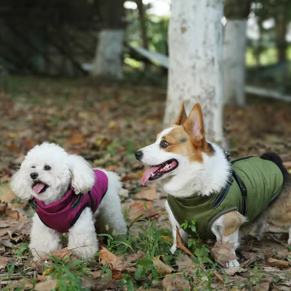 Waterproof Winter Dog Jacket