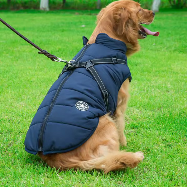 Waterproof Winter Dog Jacket